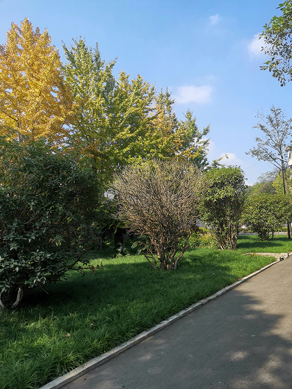 佳博网页版登录入口_佳博（中国）